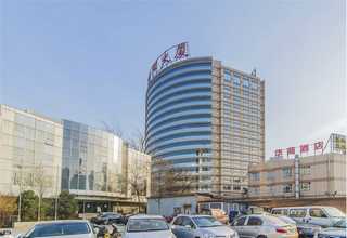 九台区鸡冠花购买电话